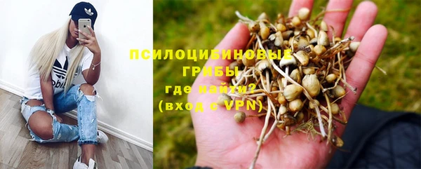 винт Рославль